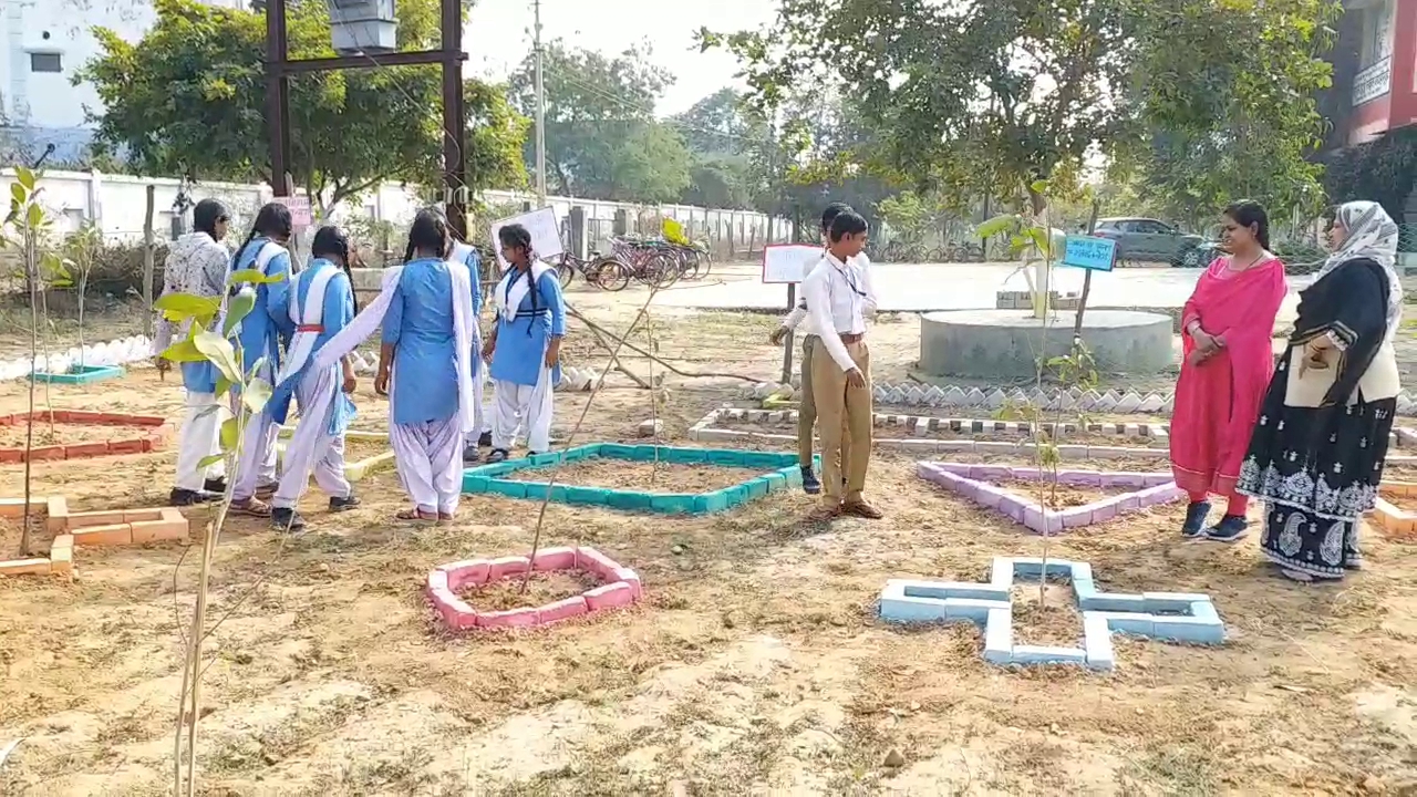 Maths Garden In Korba