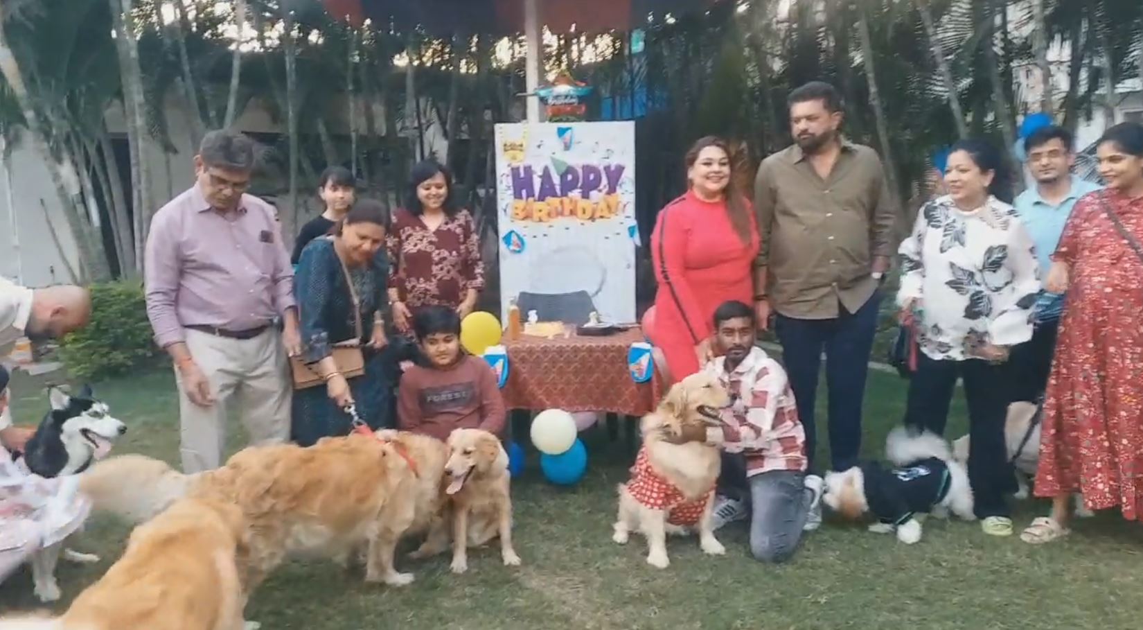 Birthday party of vip dog handsome indore mp