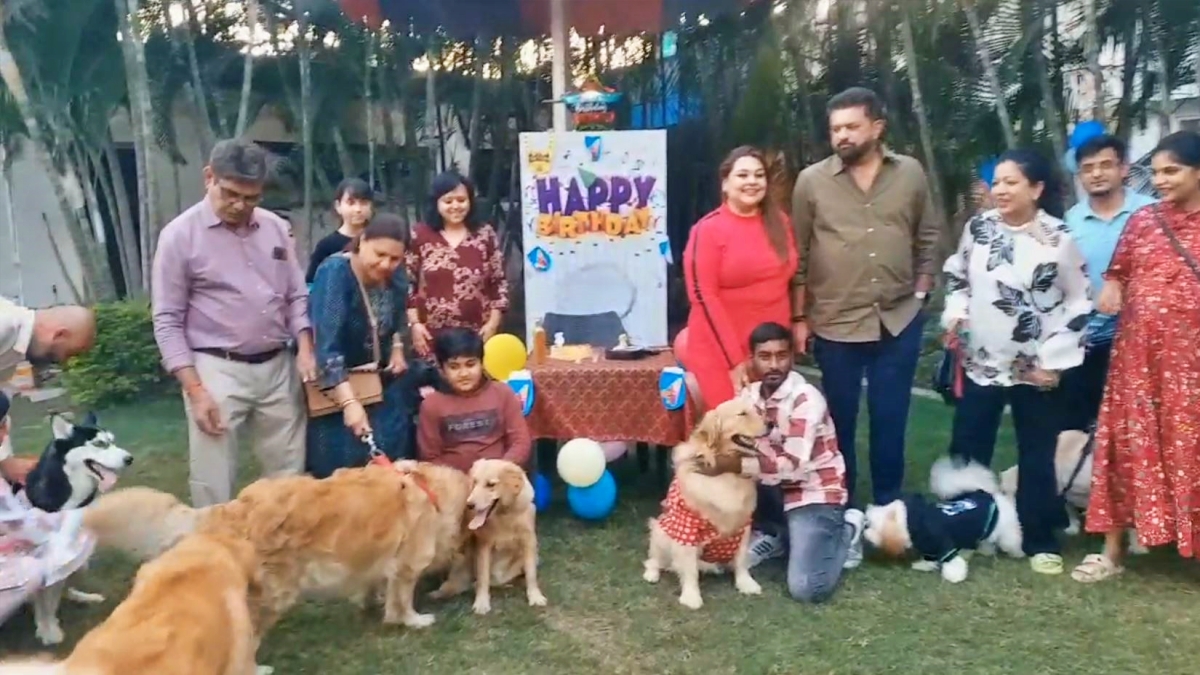 birthday party of vip dog  Dog party indore  vip dog indore  Handsome dog indore  diners park dog party