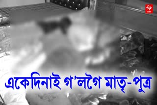 mother son found dead in bed in nalbari