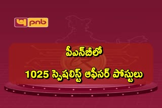 Punjab National Bank Recruitment 2024