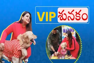 Birthday Party Of VIP Dog In MP Indore