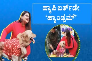birthday party of vip dog  Dog party indore  vip dog indore  Handsome dog indore  diners park dog party