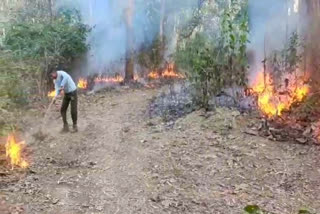 Fire Control Burning Work in Haridwar