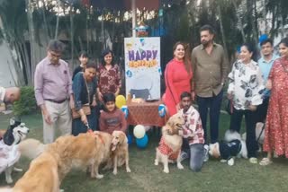 birthday-party-of-vip-dog-handsome-in-indore-diners-club-mp-video