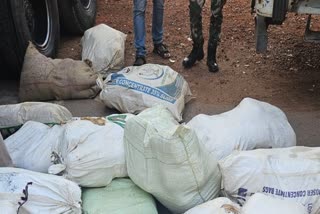 Chhattisgarh Police Recover Over 300 kg Ganja Concealed in Grain Sacks