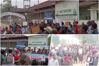 Tea estate Workers Protest in Charaideo