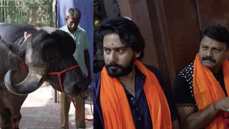 Bull Temple  film Karavali  Bangalore  ಪ್ರಜ್ವಲ್ ದೇವರಾಜ್  ಗಜಗಾತ್ರದ ಕೋಣ