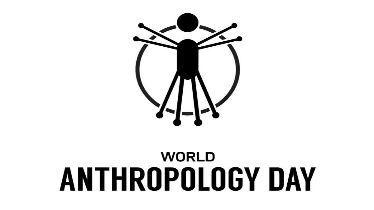 World Anthropology Day