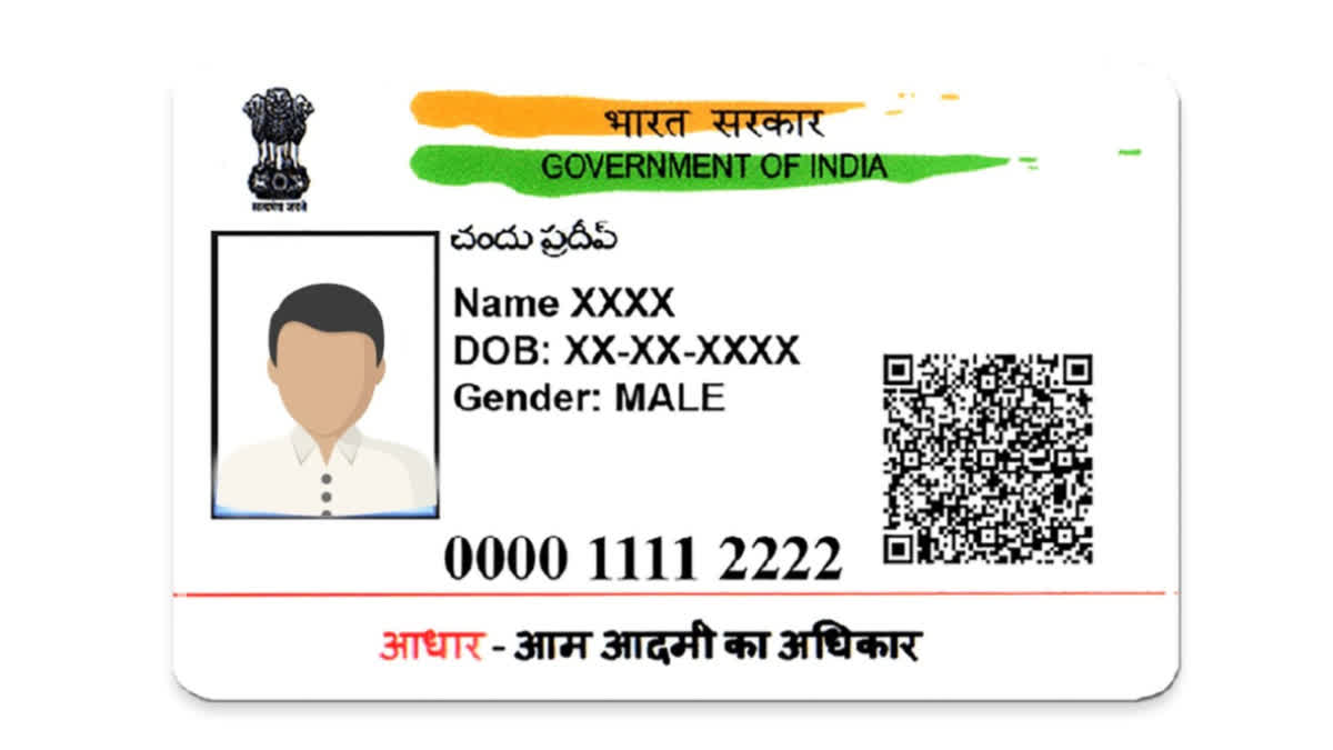 What is  Aadhaar Virtual ID