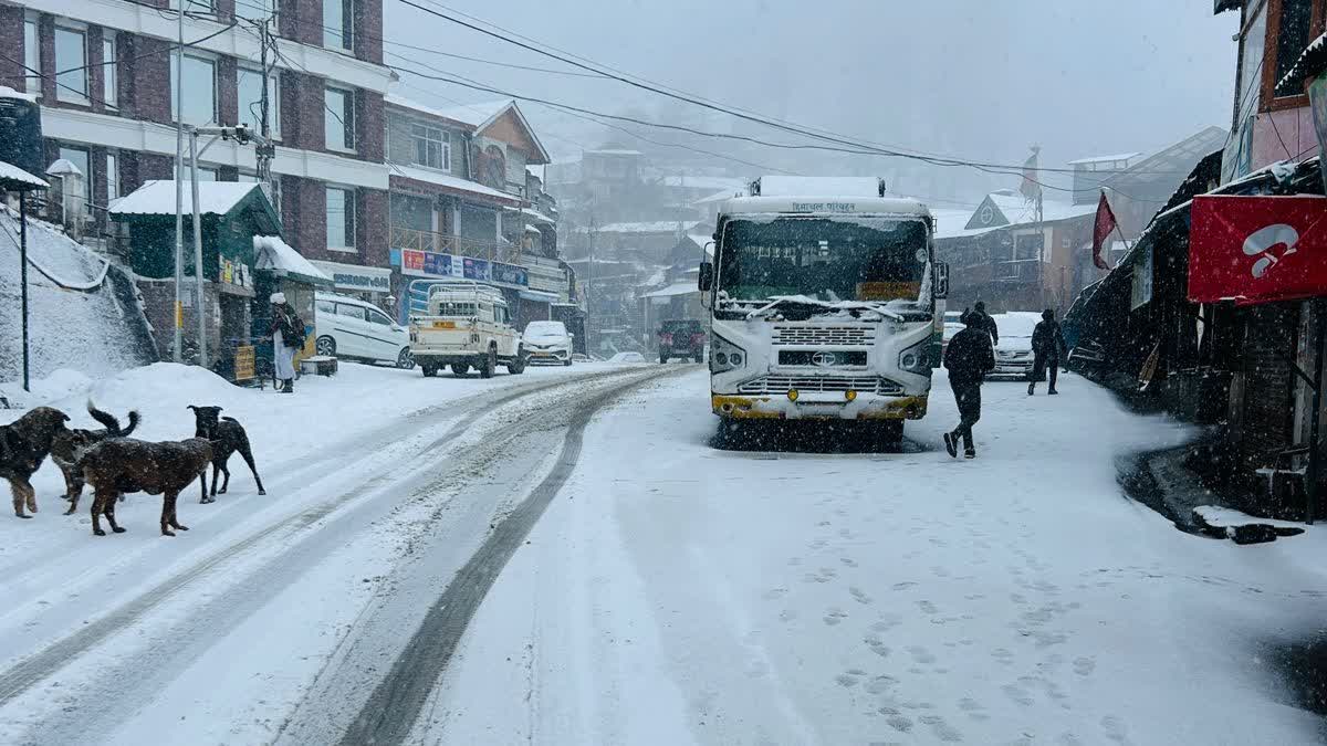 HIMACHAL SNOWFALL