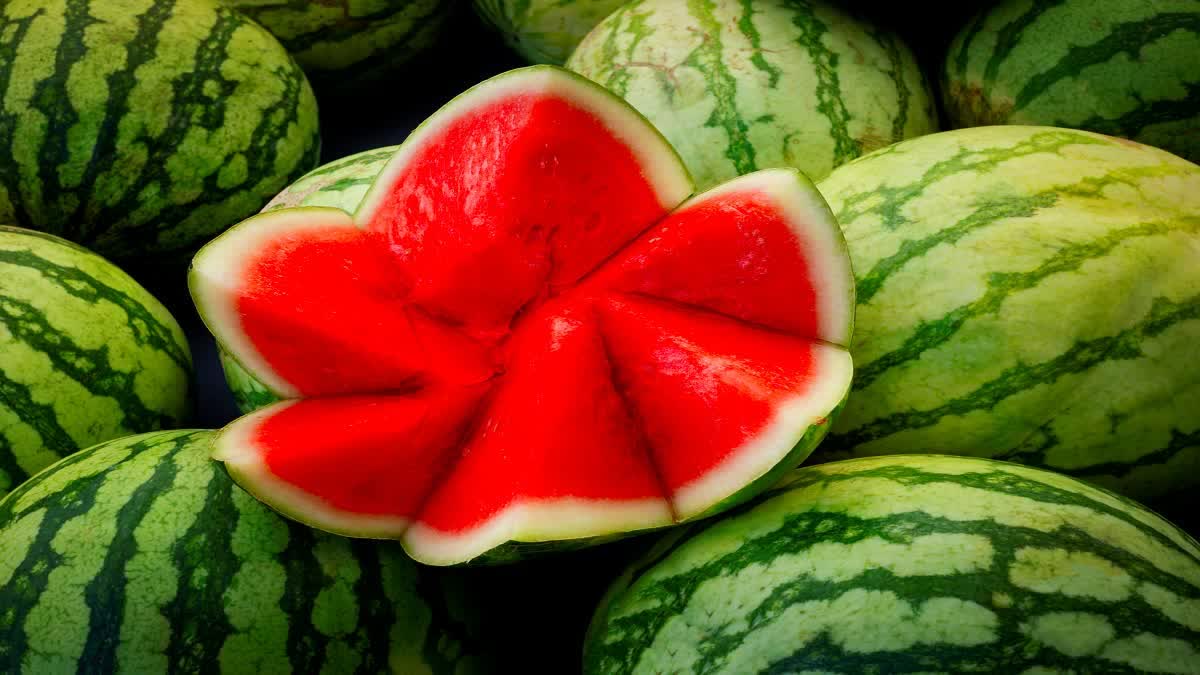 TO FIND ADULTERATION IN WATERMELON  WAYS TO FIND ADULTERATED WATERMELON  മായം ചേര്‍ത്ത തണ്ണിമത്തൻ അറിയാം  HOW TO CHECK QUALITY OF WATERMELON