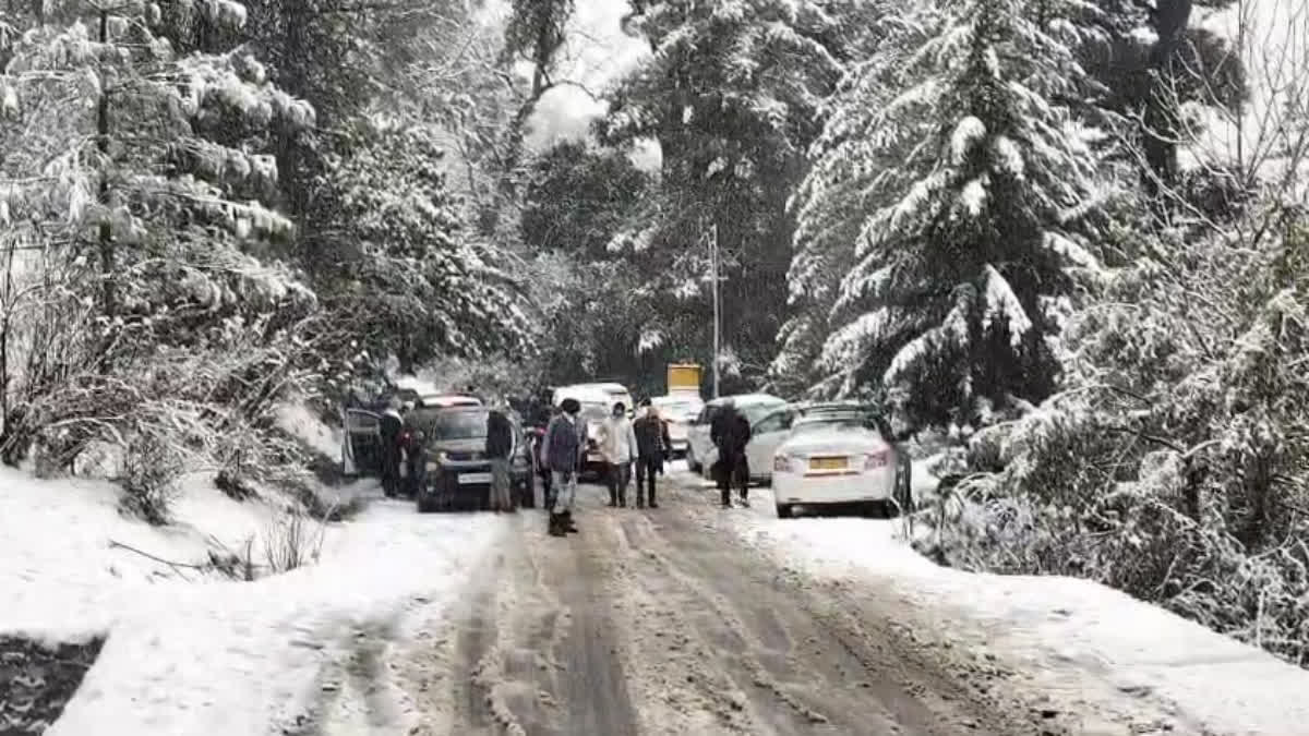 BADRINATH AULI SNOWFALL