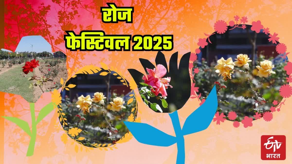 ROSE FESTIVAL 2025