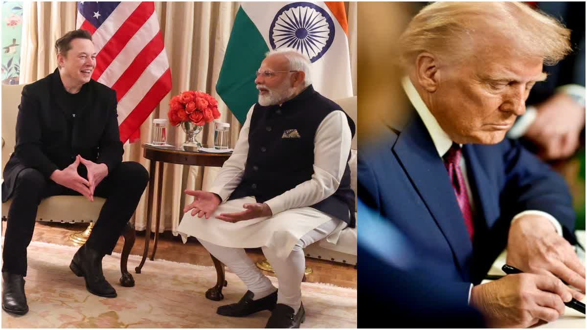 PRESIDENT DONALD TRUMP  DONALD TRUMP TESLA INDIA  ELON MUSK TESLA  TESLA IN INDIA