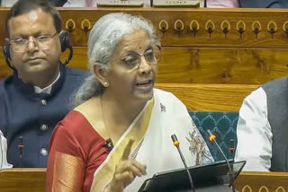 Will Budget 2025 Strengthen 'Nirmala Sitharaman's Climate Action?