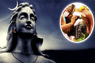 MAHA SHIVRATRI 2025 FASTING RULES