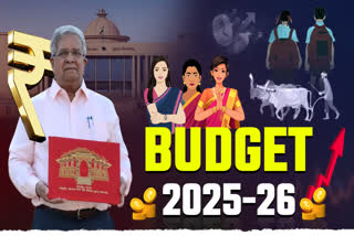 ગુજરાત બજેટ 2025-26