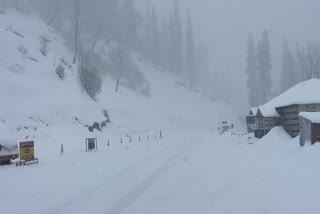 HIMACHAL SNOWFALL