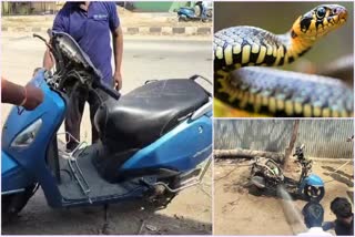 snake_came_from_scooty_in_kadapa_district