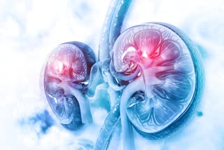 kidney failure reasons