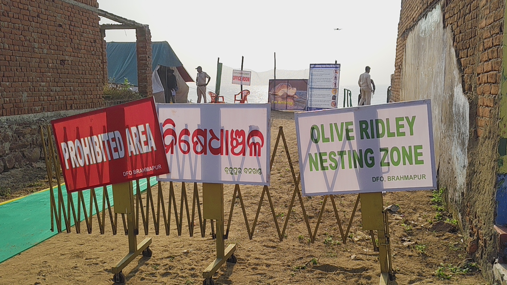 Olive Ridley Turtle Nesting Zone