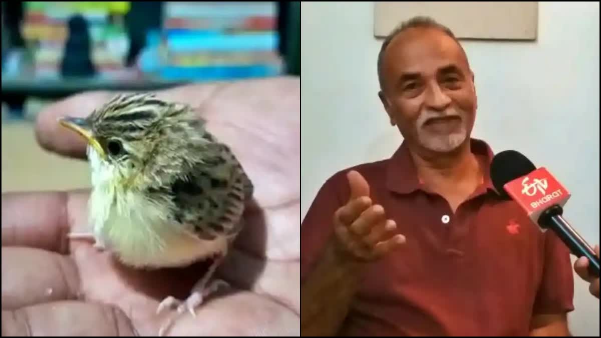 Wildlife expert Krupakara