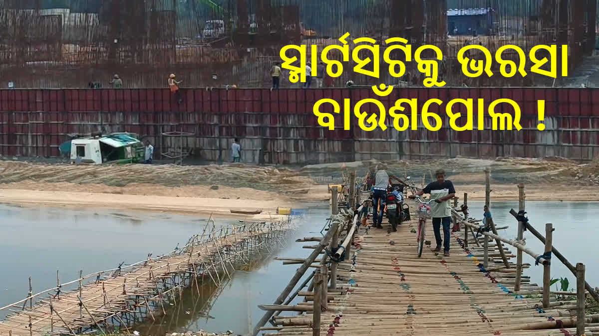 Bamboo bridge