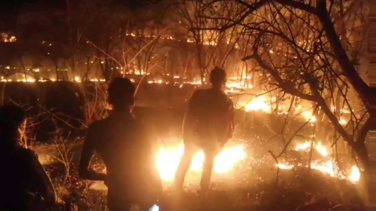 Palitana Mountain Fire