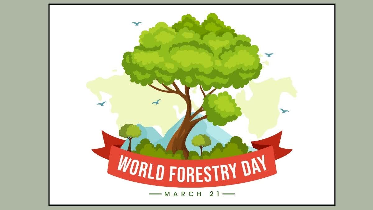 World Forest day