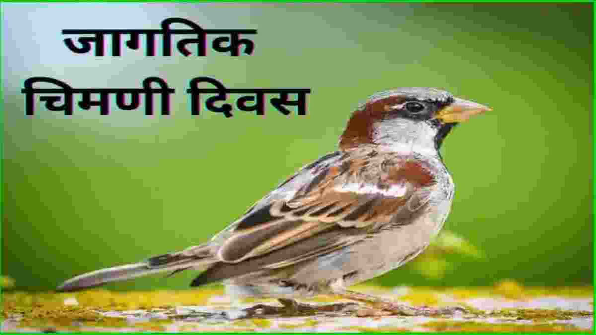 World Sparrow Day 2024