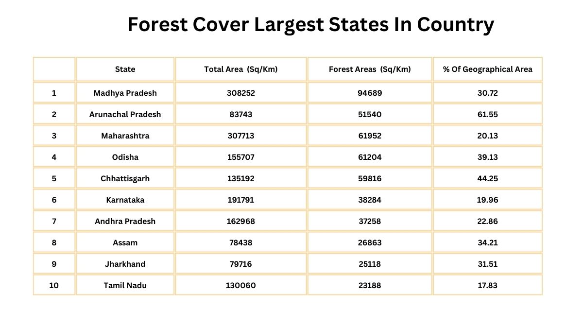 World Forest day