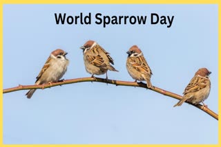 World Sparrow Day