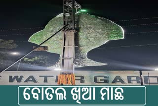 ୨୦ ହଜାର ପ୍ଲାଷ୍ଟିକ ବୋତଲରେ ବିଶାଳ ମାଛ ପ୍ରତିକୃତି