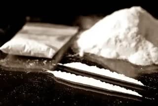 DRI Seized Cocaine: आंतरराष्ट्रीय ड्रग सिंडिकेटचा 'डीआरआय'कडून पर्दाफाश; 100 कोटींचं कोकेन जप्त