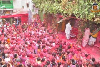 shrinathji-temple-in-nathdwara-gets-filled-with-the-color-of-holi