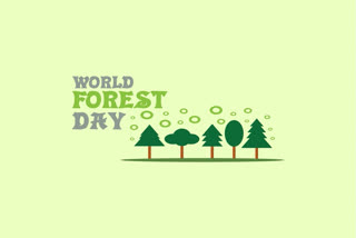World Forest Day is observed every year on March 21