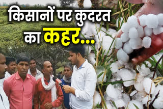 Hailstorm damages ready crops in shahdol