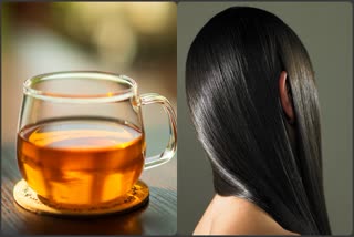 Hair Care With Tea leaf Water