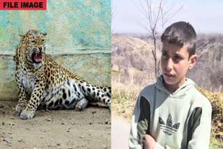 Boy Saved Brother From Leopard