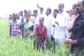 bandi sanjay on crop loss