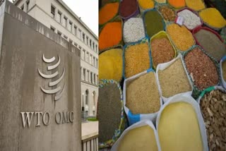WTO Ministerial Conferences : ખાદ્ય સુરક્ષા યોજનાઓ બચાવવા ભારતે આવનારી WTO મંત્રી પરિષદોમાં મક્કમ વલણ રાખવું જોઇએ