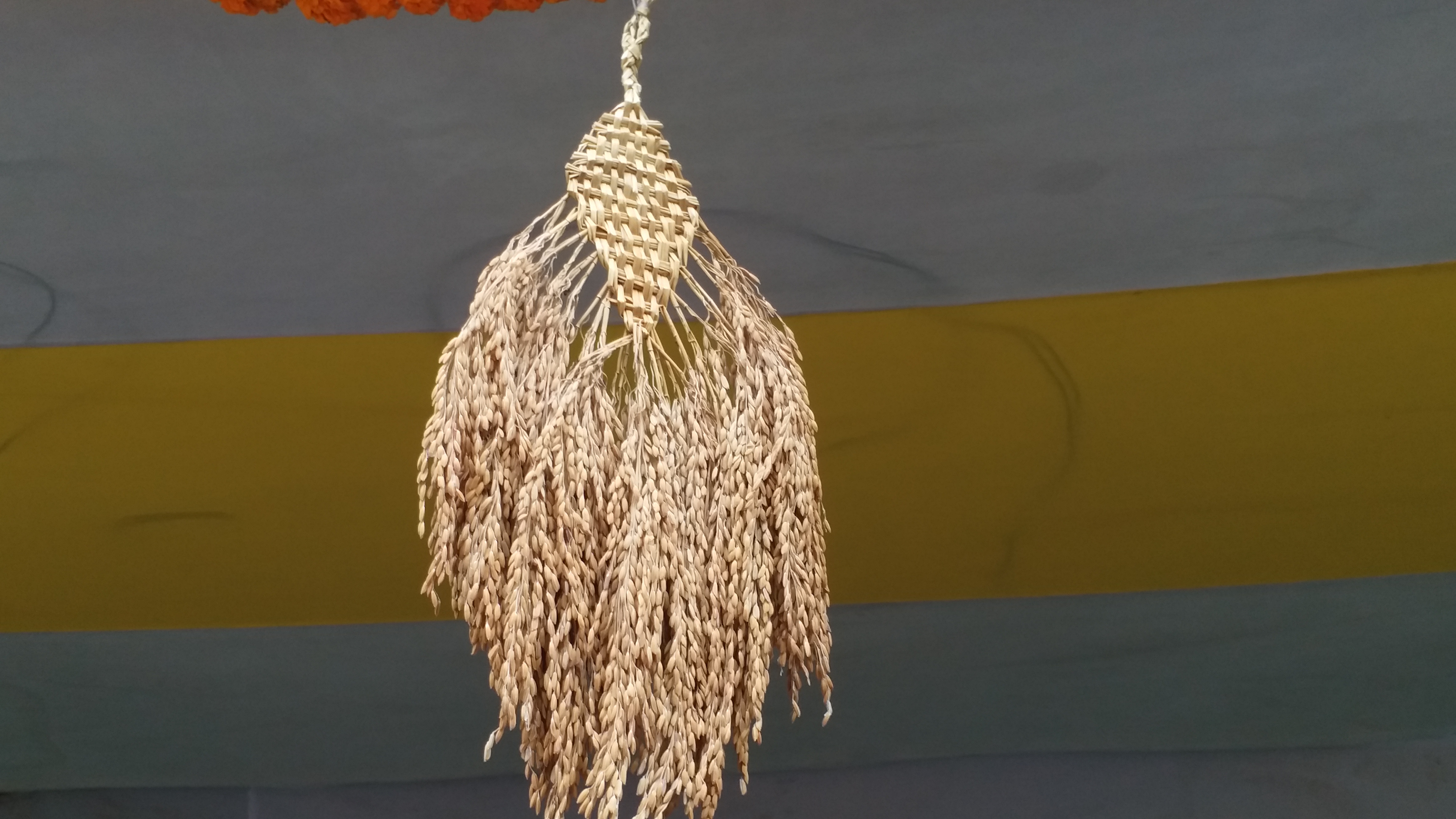 पटना जू में गौरैया के संरक्षण के लिए प्रदर्शनी.