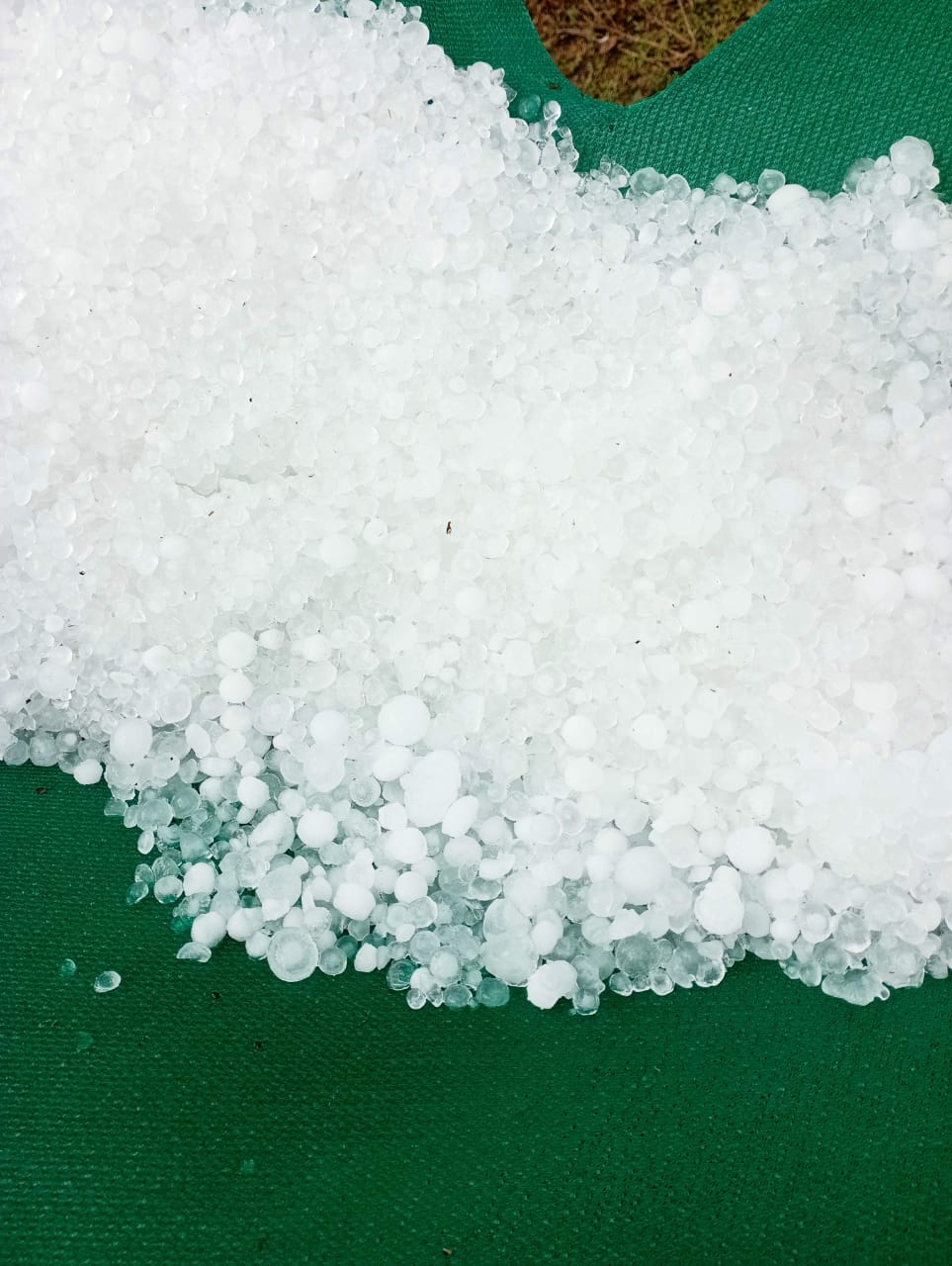 crops destroy hailstorm chhindwara