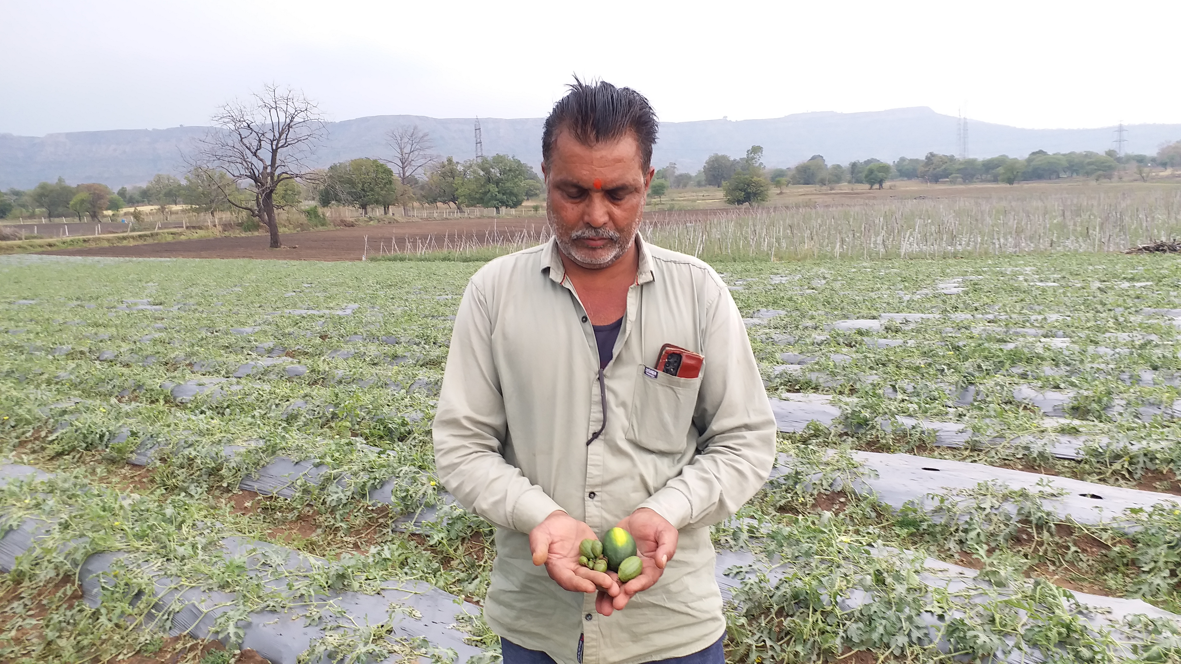 Shahdol rain and hailstorm