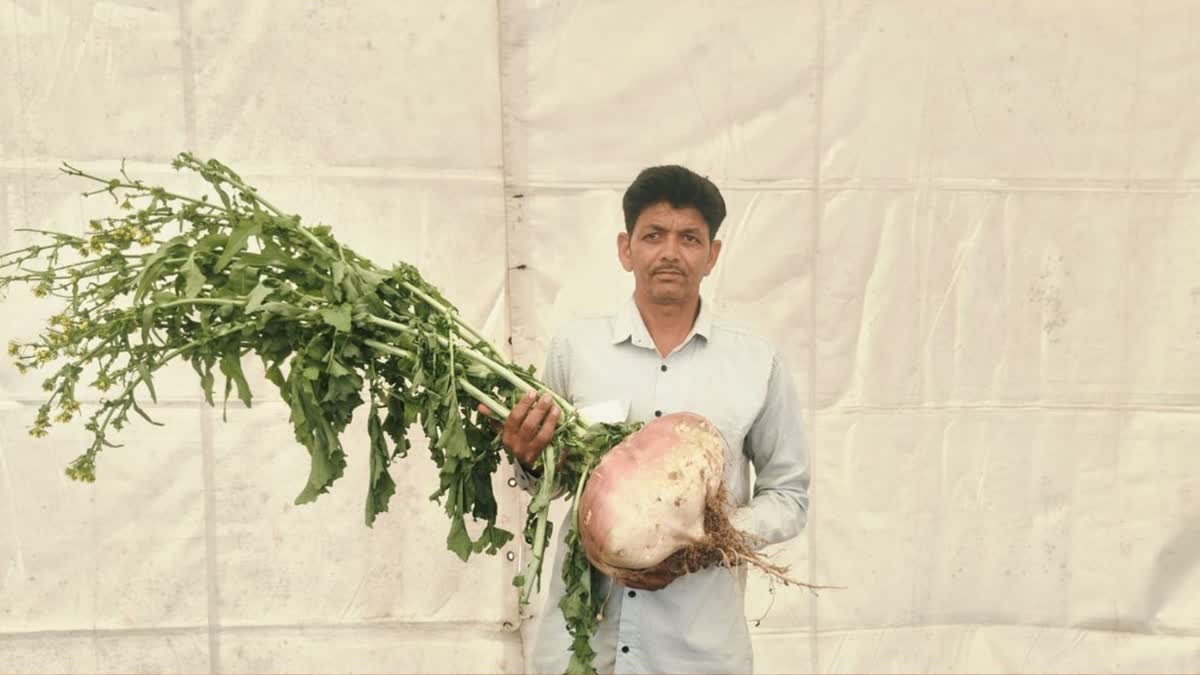 A farmer showcases giant turnip at agricultural fair in Hisar, Haryana