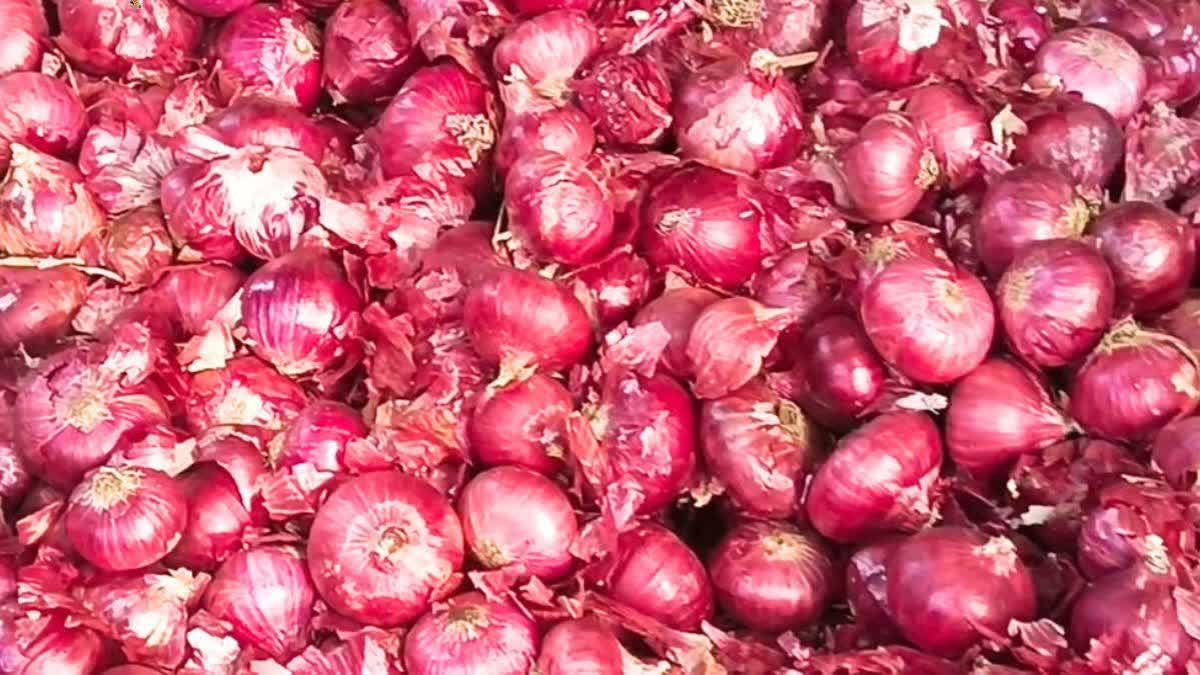 प्याज