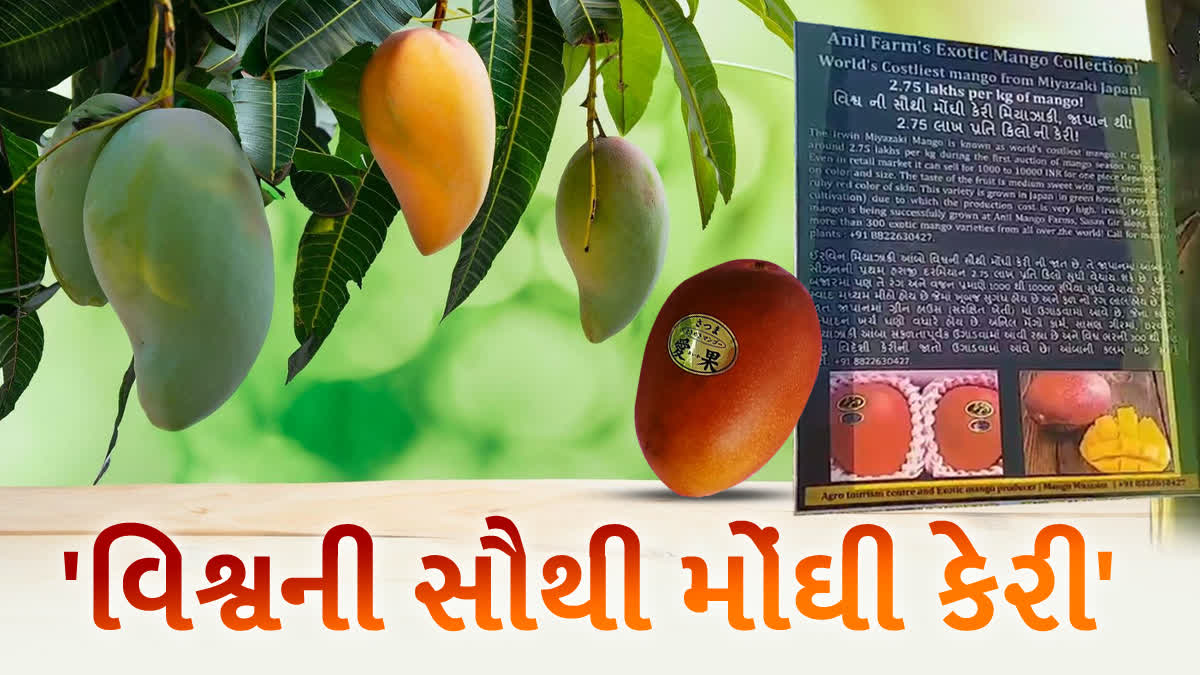 વિશ્વની સૌથી મોંઘી મિયાઝાકી કેરી