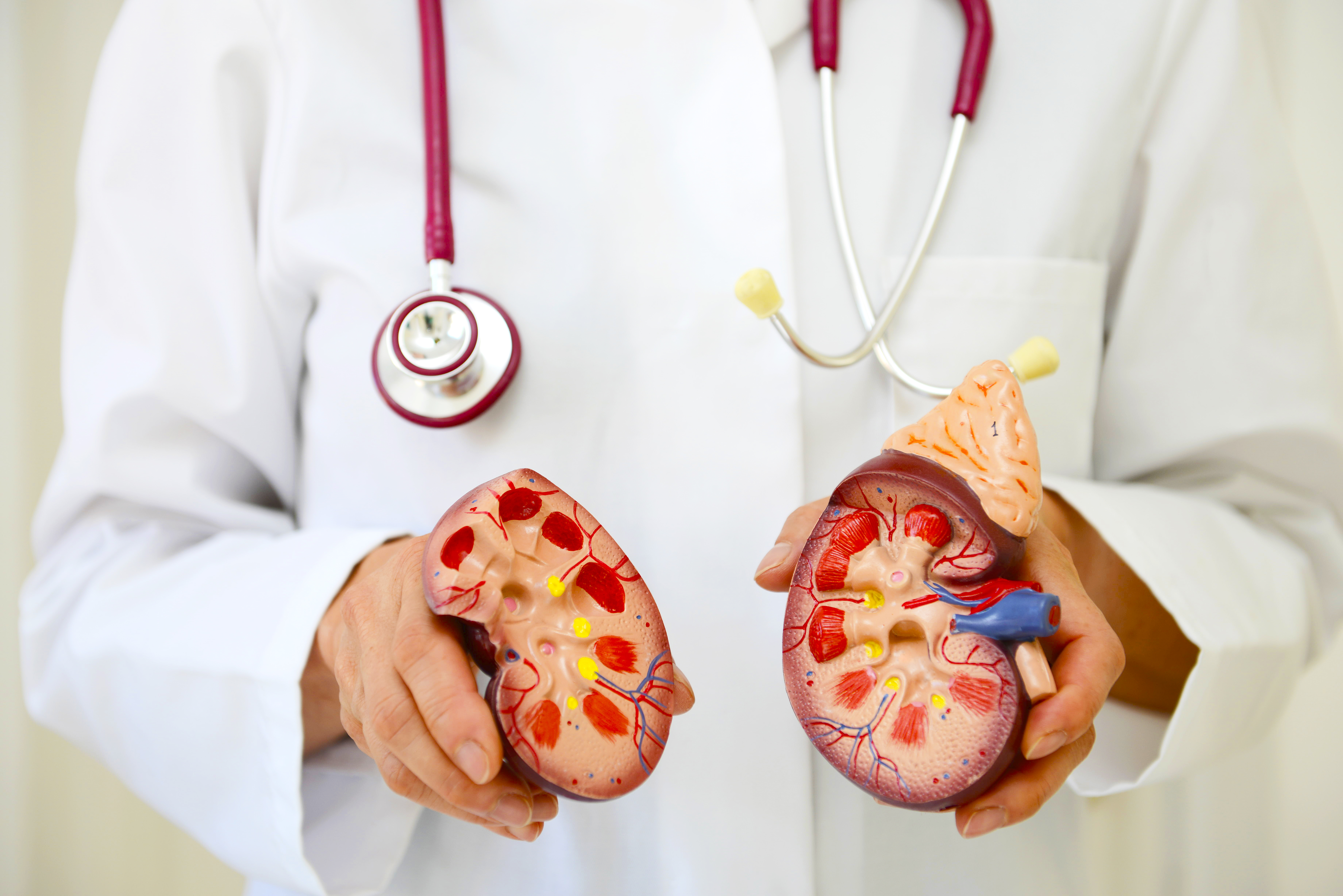Correct these 6 mistakes that increase the risk of kidney failure from today itsel