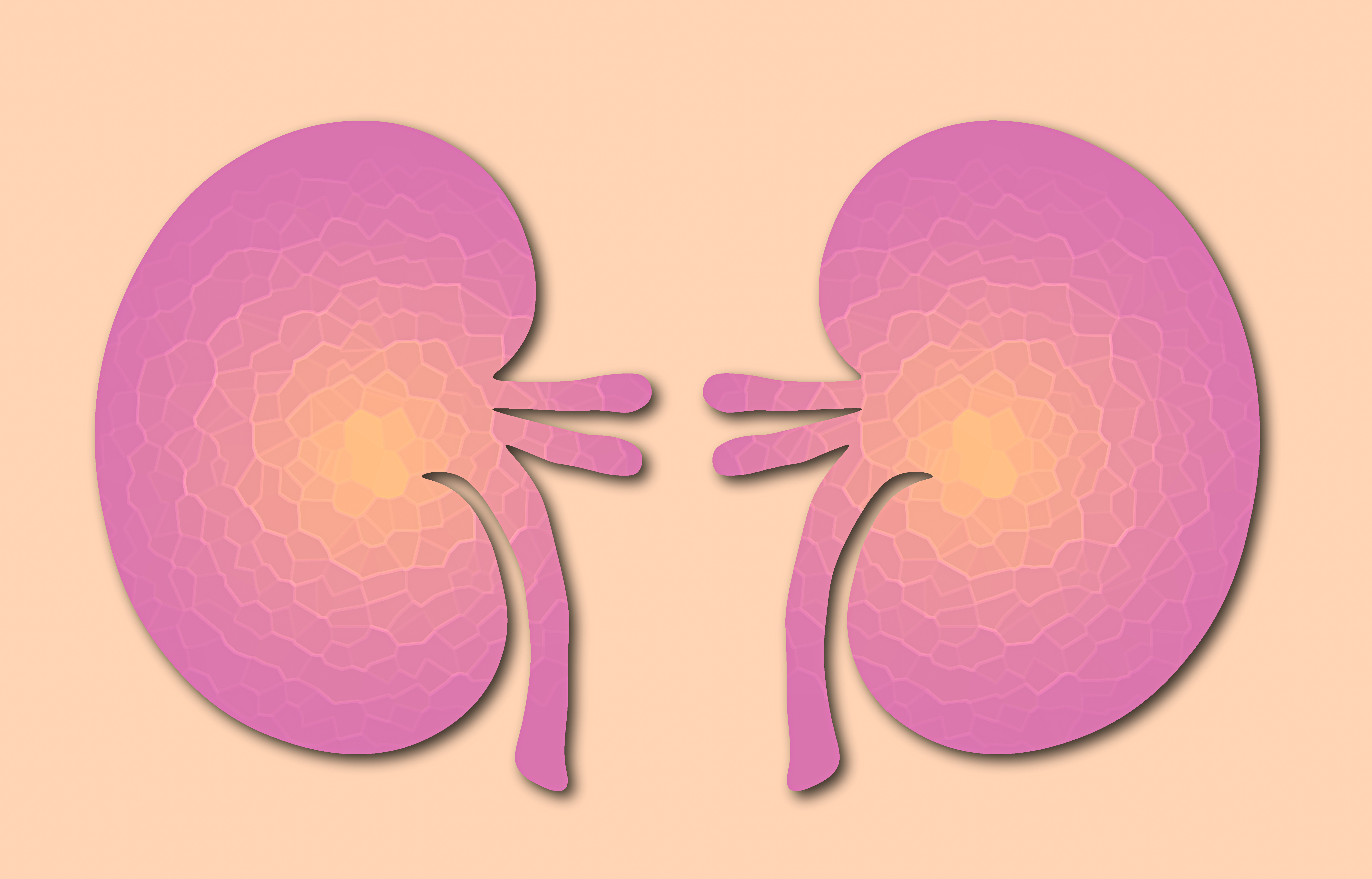 Correct these 6 mistakes that increase the risk of kidney failure from today itsel